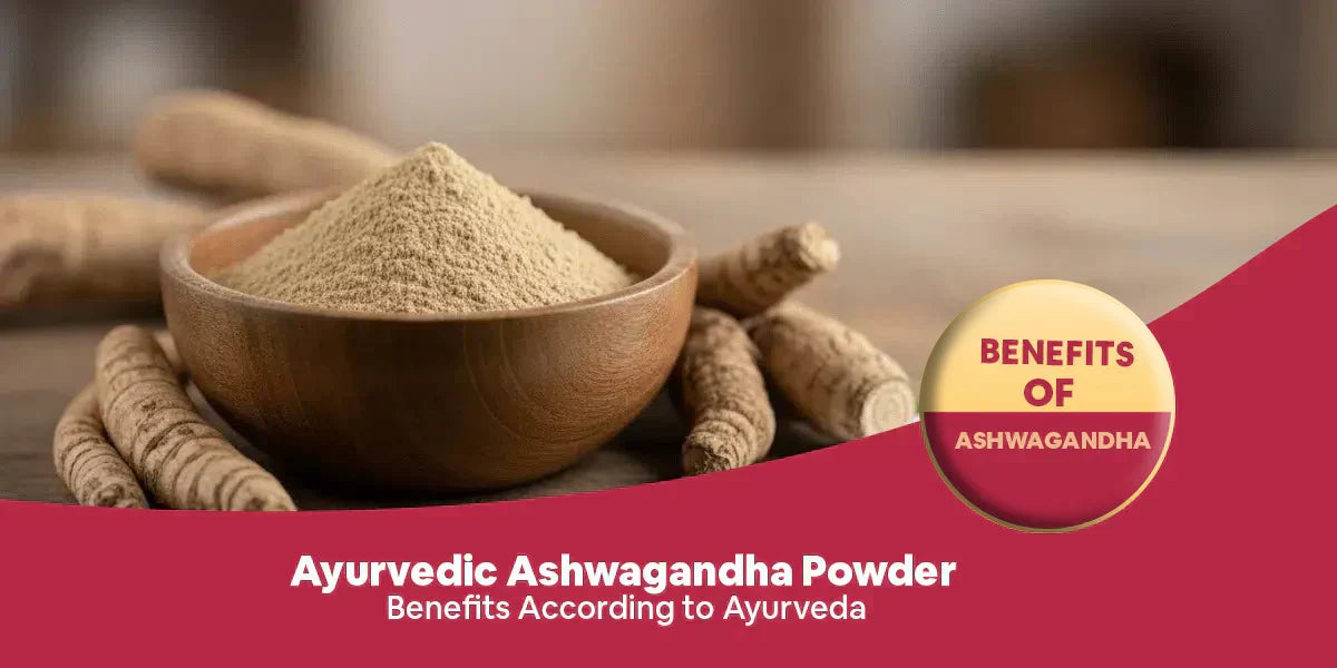 Ayurvedic Ashwagandha Powder: Benefits According to Ayurveda