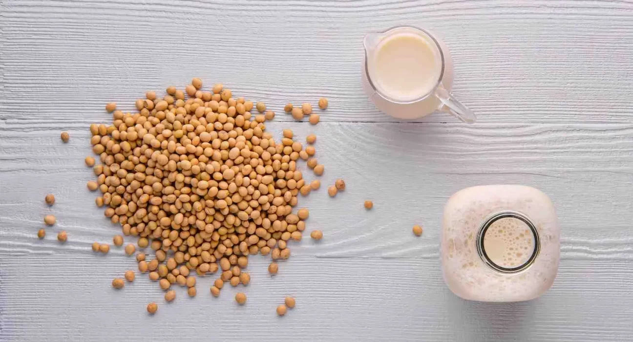 What Is Hydrolyzed Soy Protein? Benefits, Uses, and Facts