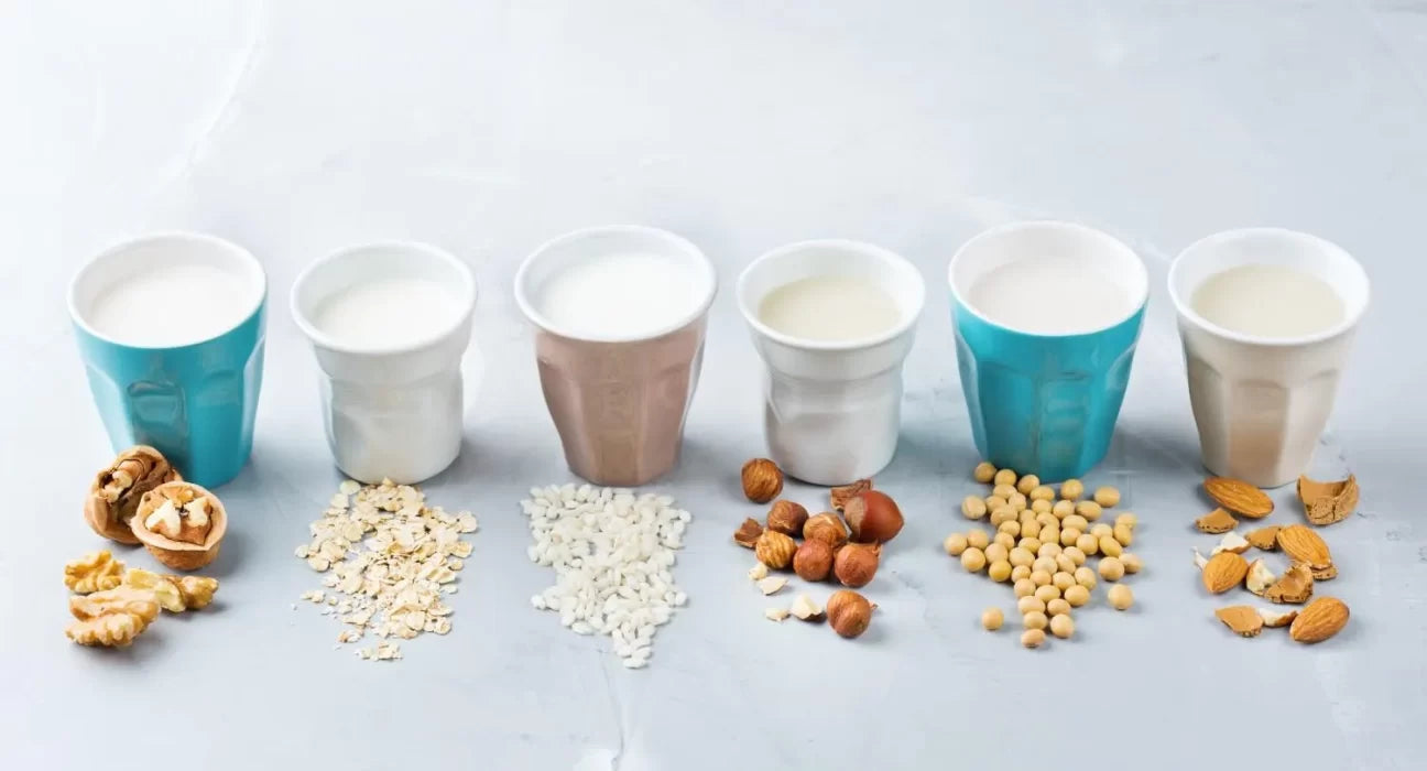Whey Protein vs. Plant Protein: Which One is Better for You?