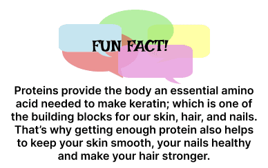 How Much Protein Do You Need After a Workout to Build Muscle?