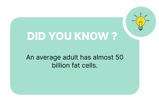 So the Question is: How Long Does It Take to Burn Fat?