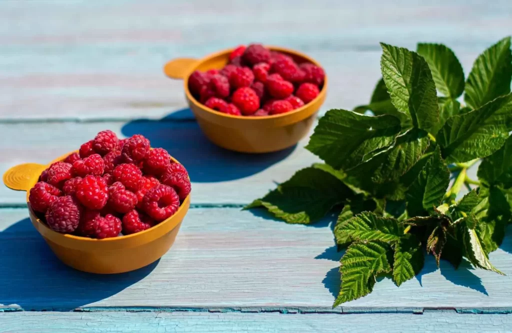 Raspberries