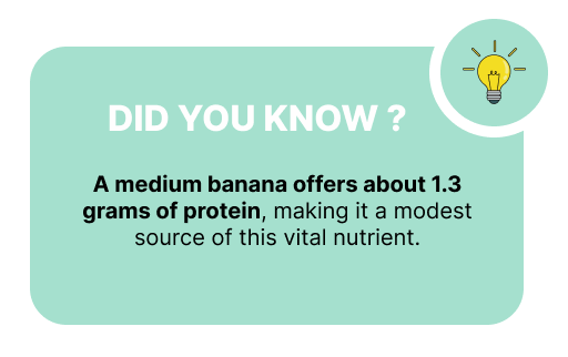 Did You Know: How Much Protein Is in a Banana?