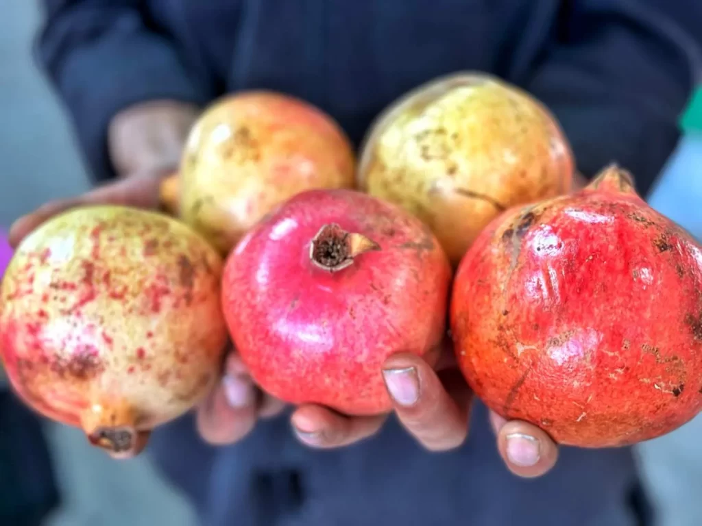 Pomegranates