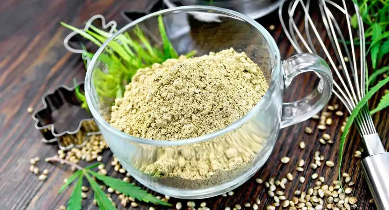 hemp protein