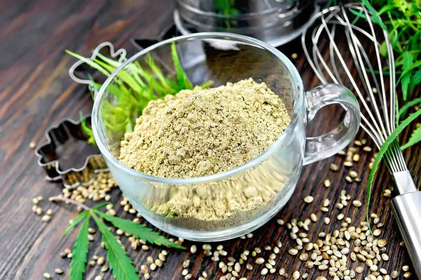 hemp protein